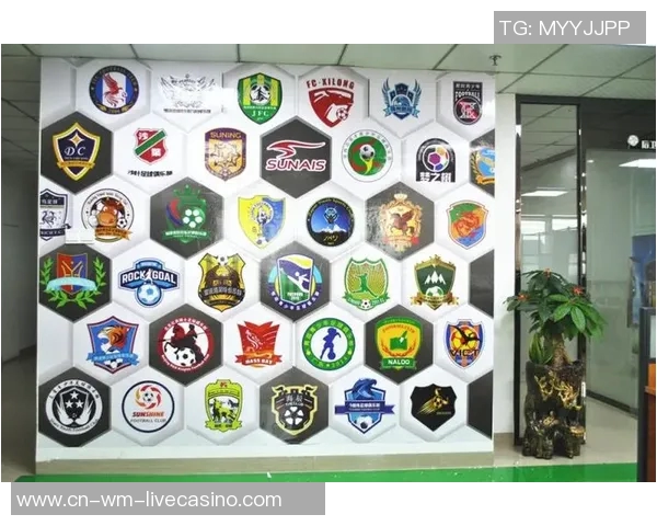 足球的价格是多少你知道吗了解不同品牌和类型的足球费用